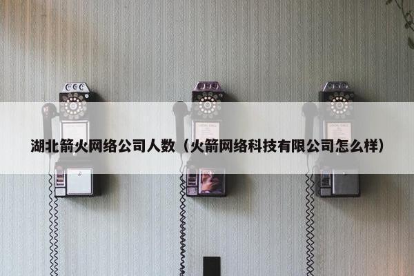 湖北箭火网络公司人数（火箭网络科技有限公司怎么样）