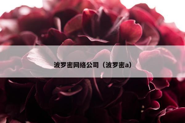 波罗密网络公司（波罗密a）