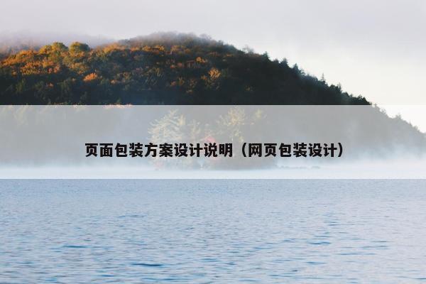 页面包装方案设计说明（网页包装设计）