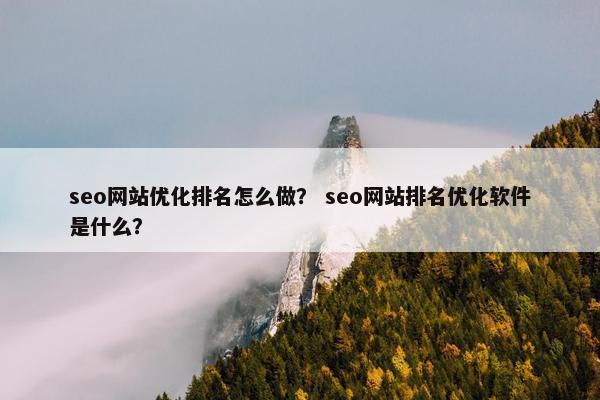 seo网站优化排名怎么做？ seo网站排名优化软件是什么？