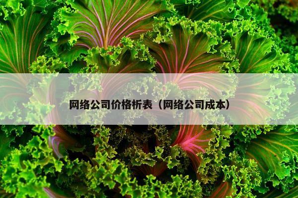 网络公司价格析表（网络公司成本）
