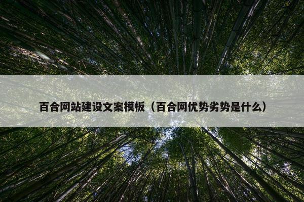 百合网站建设文案模板（百合网优势劣势是什么）