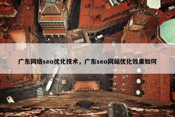 广东网络seo优化技术，广东seo网站优化效果如何