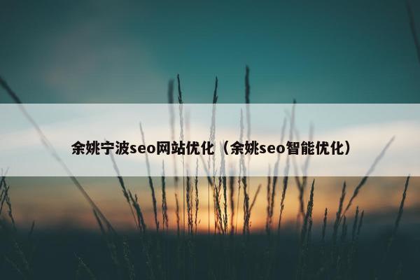 余姚宁波seo网站优化（余姚seo智能优化）