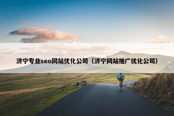 济宁专业seo网站优化公司（济宁网站推广优化公司）