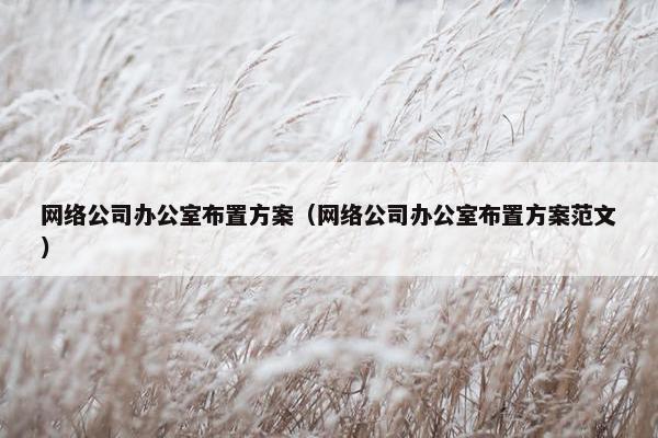 网络公司办公室布置方案（网络公司办公室布置方案范文）