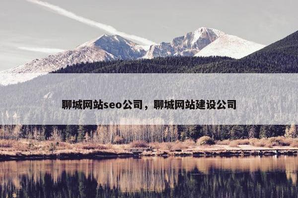 聊城网站seo公司，聊城网站建设公司