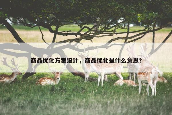 商品优化方案设计，商品优化是什么意思?