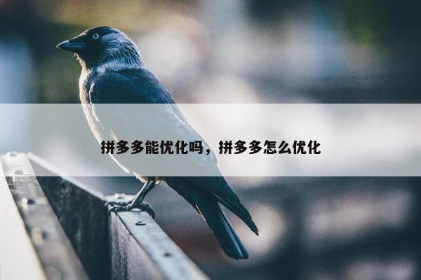 拼多多能优化吗，拼多多怎么优化