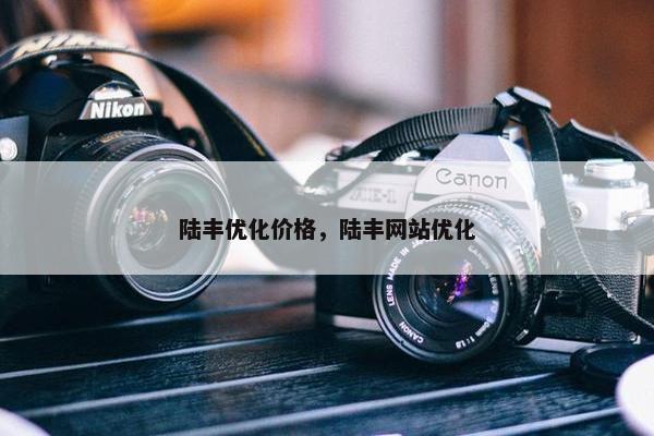 陆丰优化价格，陆丰网站优化