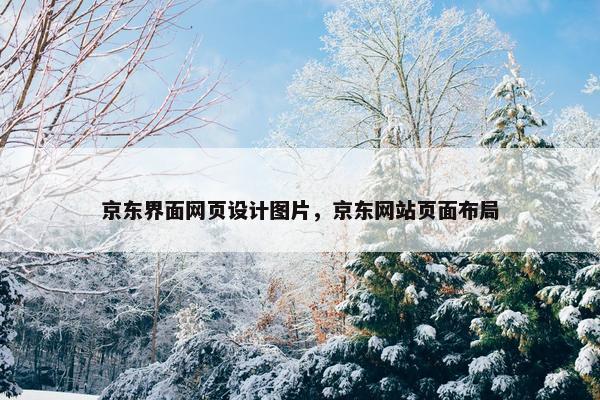 京东界面网页设计图片，京东网站页面布局