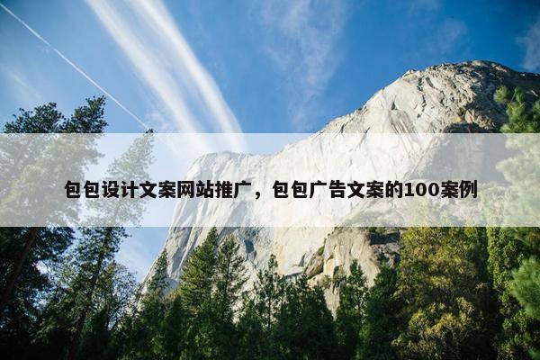 包包设计文案网站推广，包包广告文案的100案例