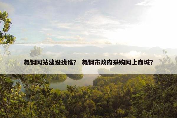 舞钢网站建设找谁？ 舞钢市政府采购网上商城？