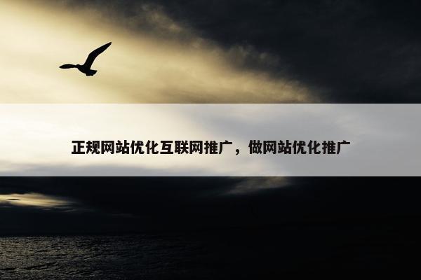 正规网站优化互联网推广，做网站优化推广