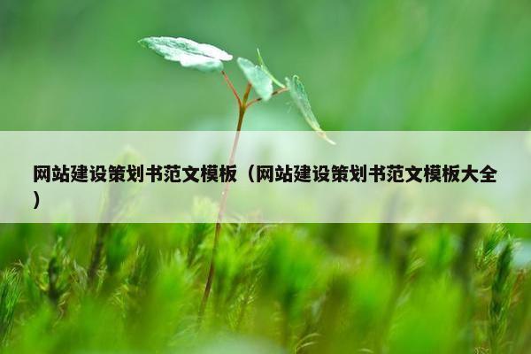 网站建设策划书范文模板（网站建设策划书范文模板大全）