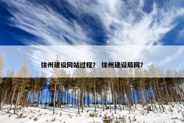 徐州建设网站过程？ 徐州建设局网？