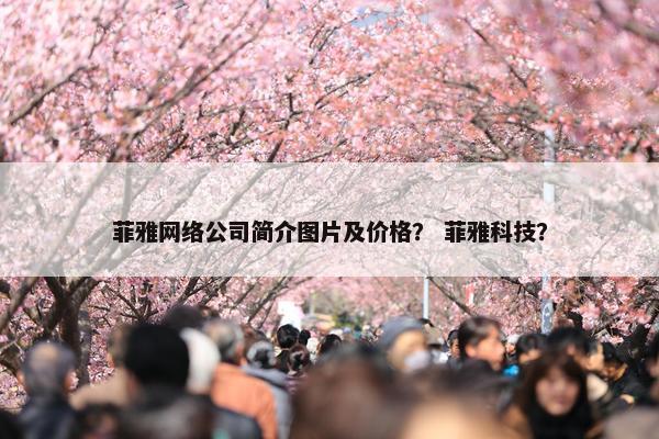 菲雅网络公司简介图片及价格？ 菲雅科技？