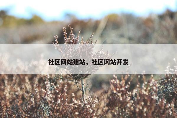 社区网站建站，社区网站开发