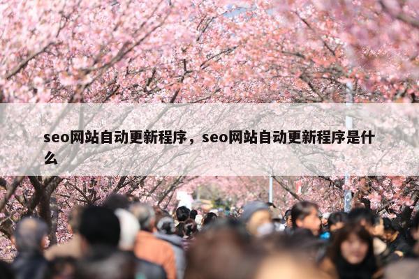 seo网站自动更新程序，seo网站自动更新程序是什么