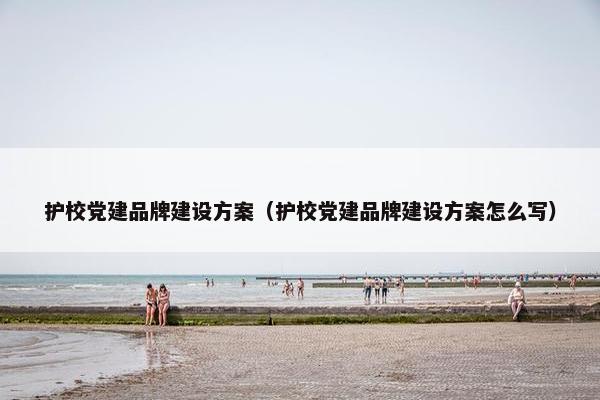 护校党建品牌建设方案（护校党建品牌建设方案怎么写）
