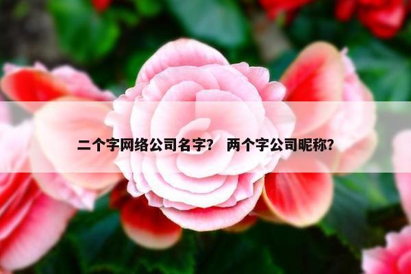 二个字网络公司名字？ 两个字公司昵称？