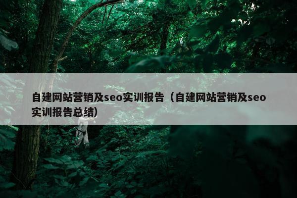 自建网站营销及seo实训报告（自建网站营销及seo实训报告总结）