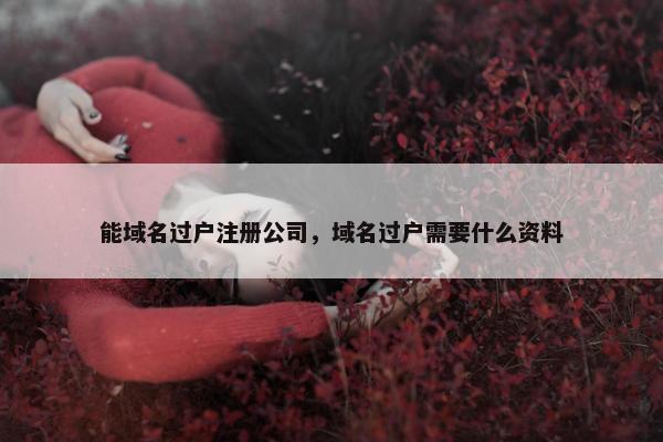 能域名过户注册公司，域名过户需要什么资料