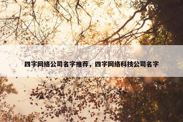 四字网络公司名字推荐，四字网络科技公司名字