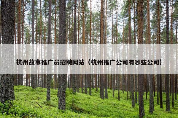 杭州故事推广员招聘网站（杭州推广公司有哪些公司）