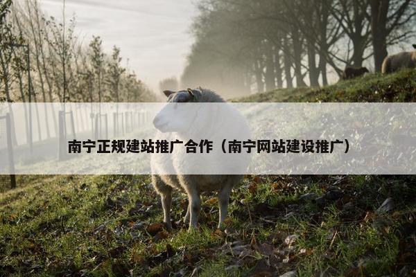 南宁正规建站推广合作（南宁网站建设推广）