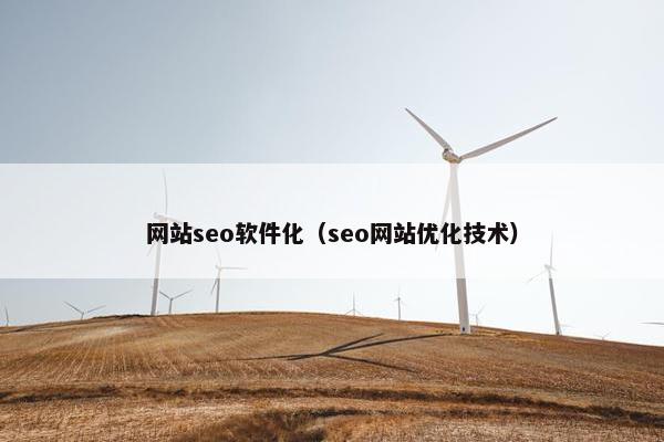 网站seo软件化（seo网站优化技术）