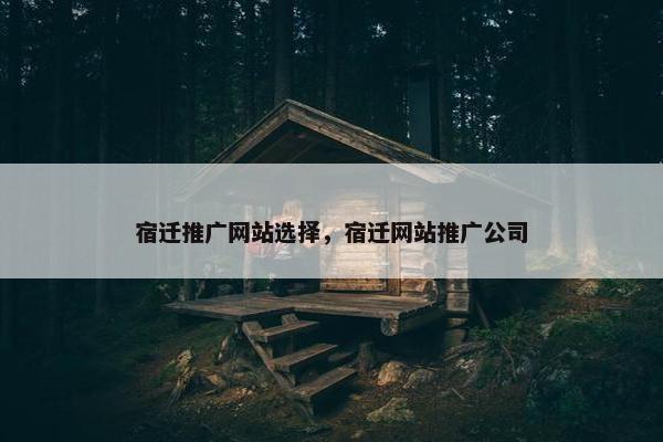 宿迁推广网站选择，宿迁网站推广公司