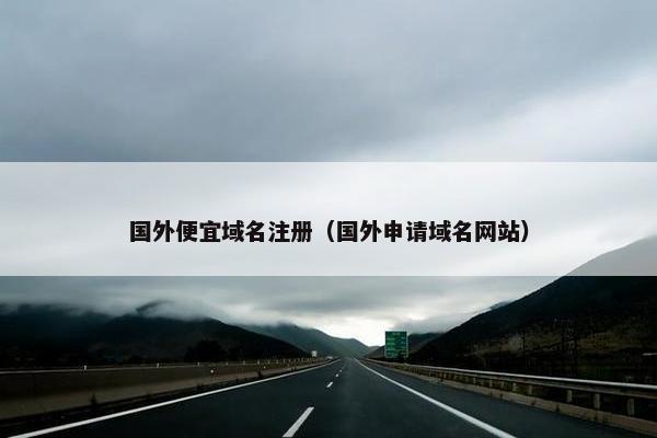 国外便宜域名注册（国外申请域名网站）