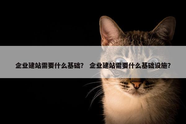 企业建站需要什么基础？ 企业建站需要什么基础设施？
