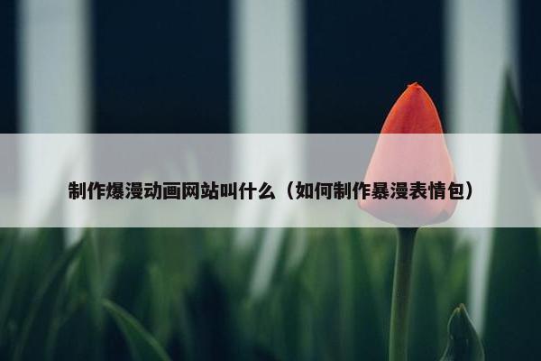 制作爆漫动画网站叫什么（如何制作暴漫表情包）