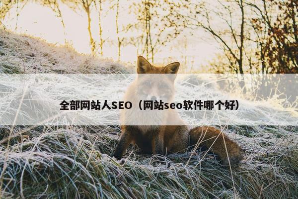 全部网站人SEO（网站seo软件哪个好）