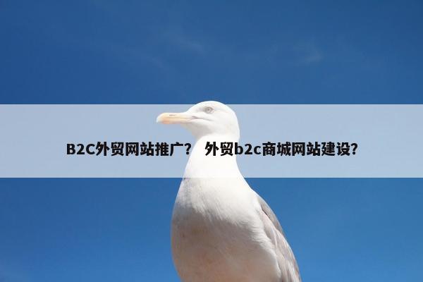 B2C外贸网站推广？ 外贸b2c商城网站建设？