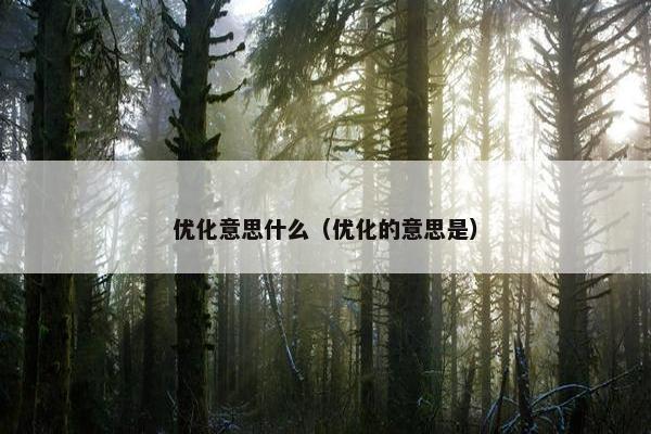 优化意思什么（优化的意思是）
