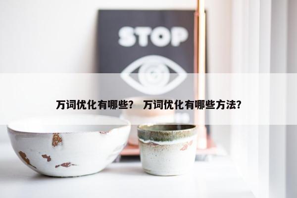 万词优化有哪些？ 万词优化有哪些方法？
