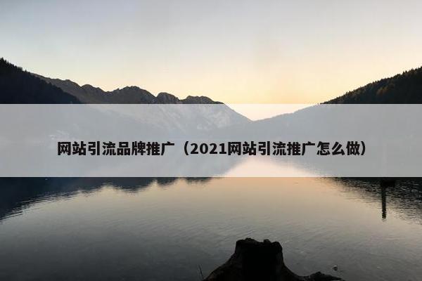 网站引流品牌推广（2021网站引流推广怎么做）