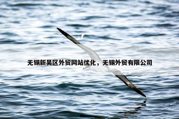 无锡新吴区外贸网站优化，无锡外贸有限公司