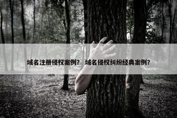 域名注册侵权案例？ 域名侵权纠纷经典案例？