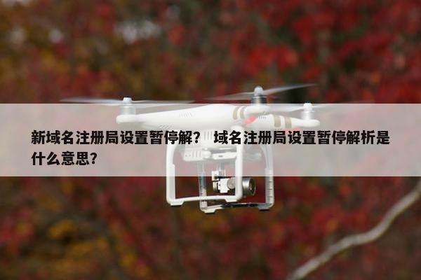 新域名注册局设置暂停解？ 域名注册局设置暂停解析是什么意思？