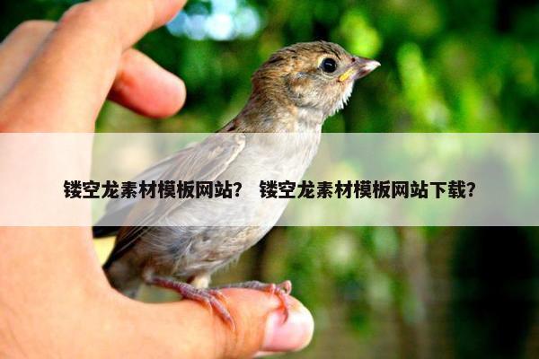 镂空龙素材模板网站？ 镂空龙素材模板网站下载？
