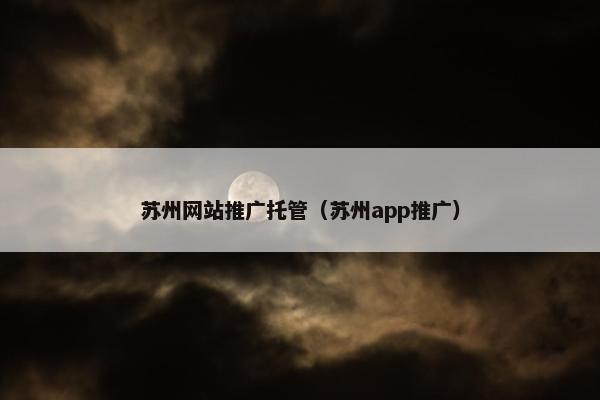 苏州网站推广托管（苏州app推广）