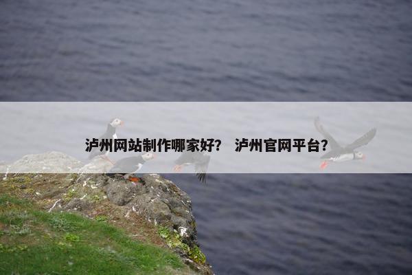 泸州网站制作哪家好？ 泸州官网平台？