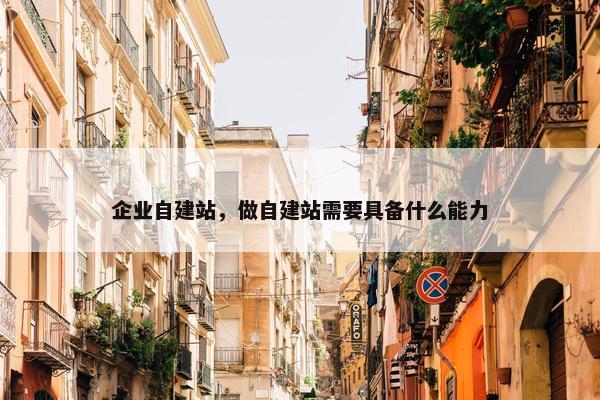 企业自建站，做自建站需要具备什么能力