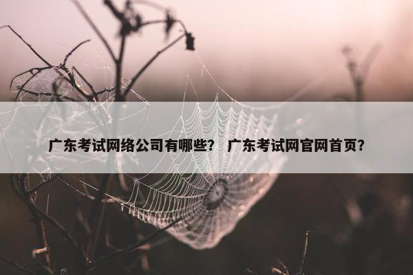 广东考试网络公司有哪些？ 广东考试网官网首页？