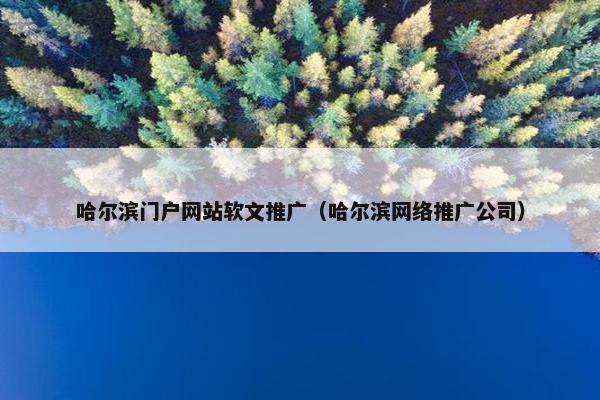 哈尔滨门户网站软文推广（哈尔滨网络推广公司）