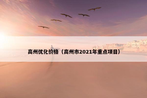 高州优化价格（高州市2021年重点项目）